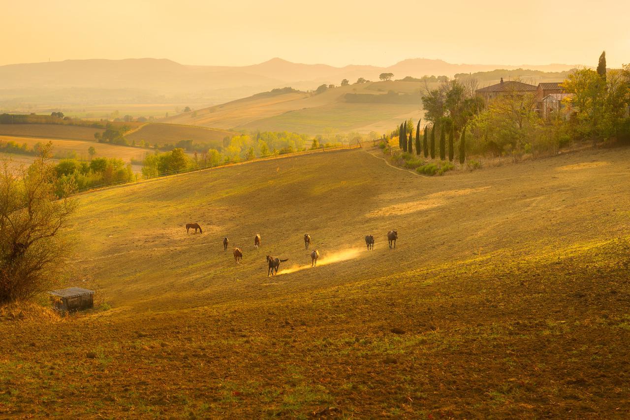 Вилла Agriturismi Farina Кастильоне-дель-Лаго Экстерьер фото